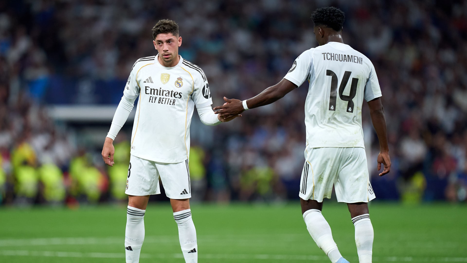 أول تحرك رسمي من ريال مدريد بعد مشاجرة بين فالفيردي وتشواميني