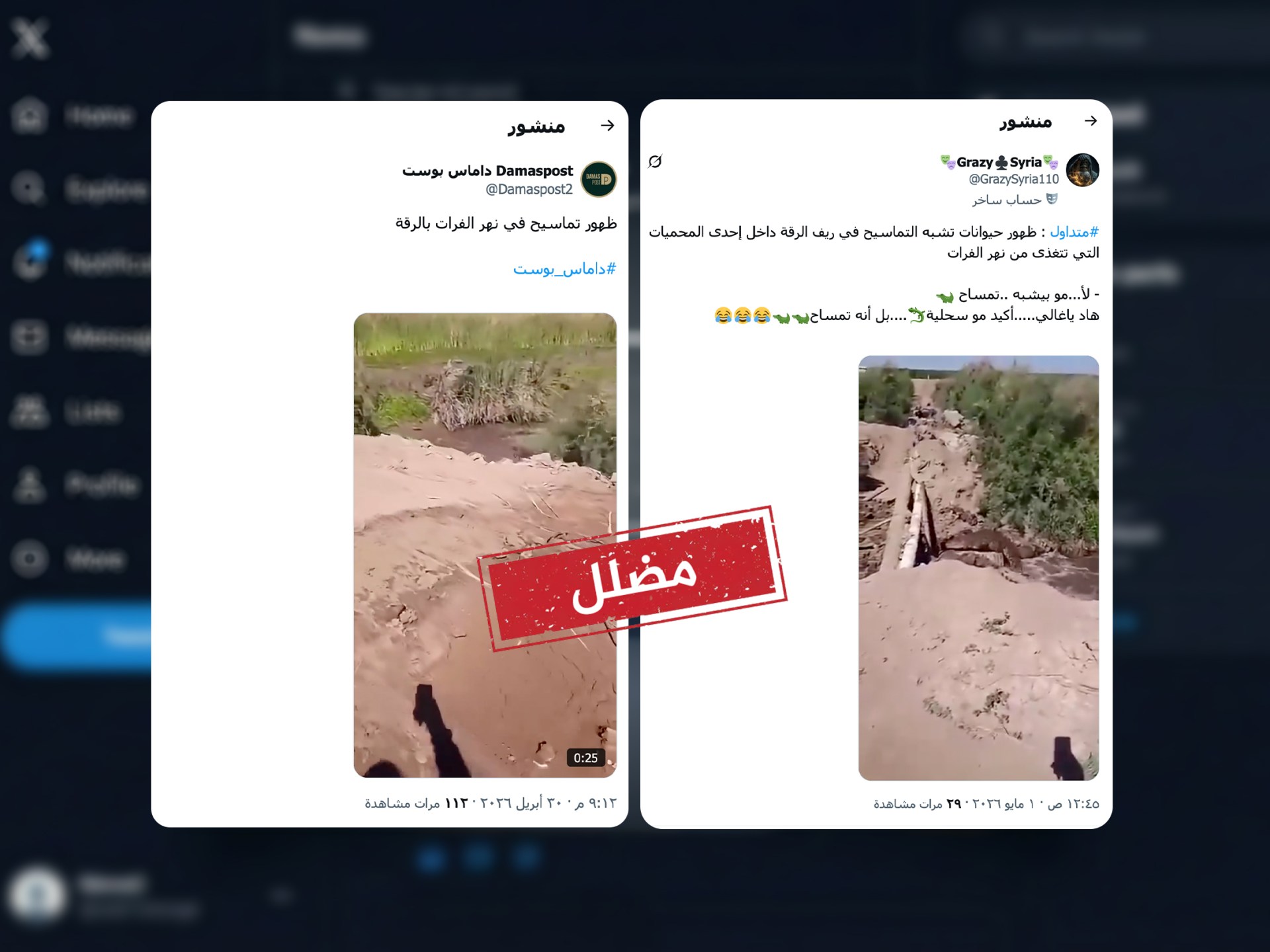 تمساحان يثيران الجدل في العراق وسوريا.. ما الحقيقة؟
