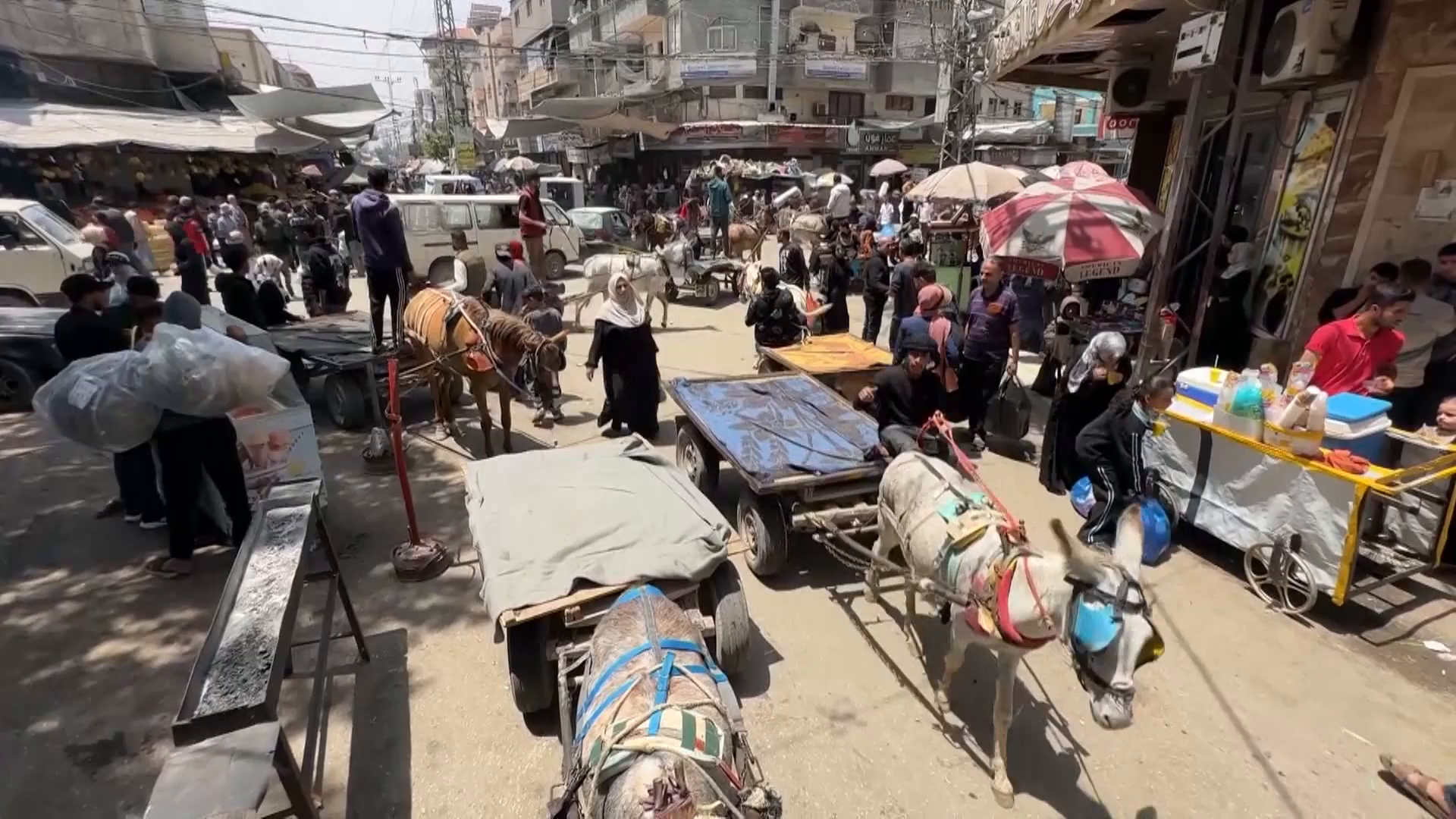 بسبب أزمة الوقود.. عربات الكارو وسيلة التنقل الأساسية في غزة