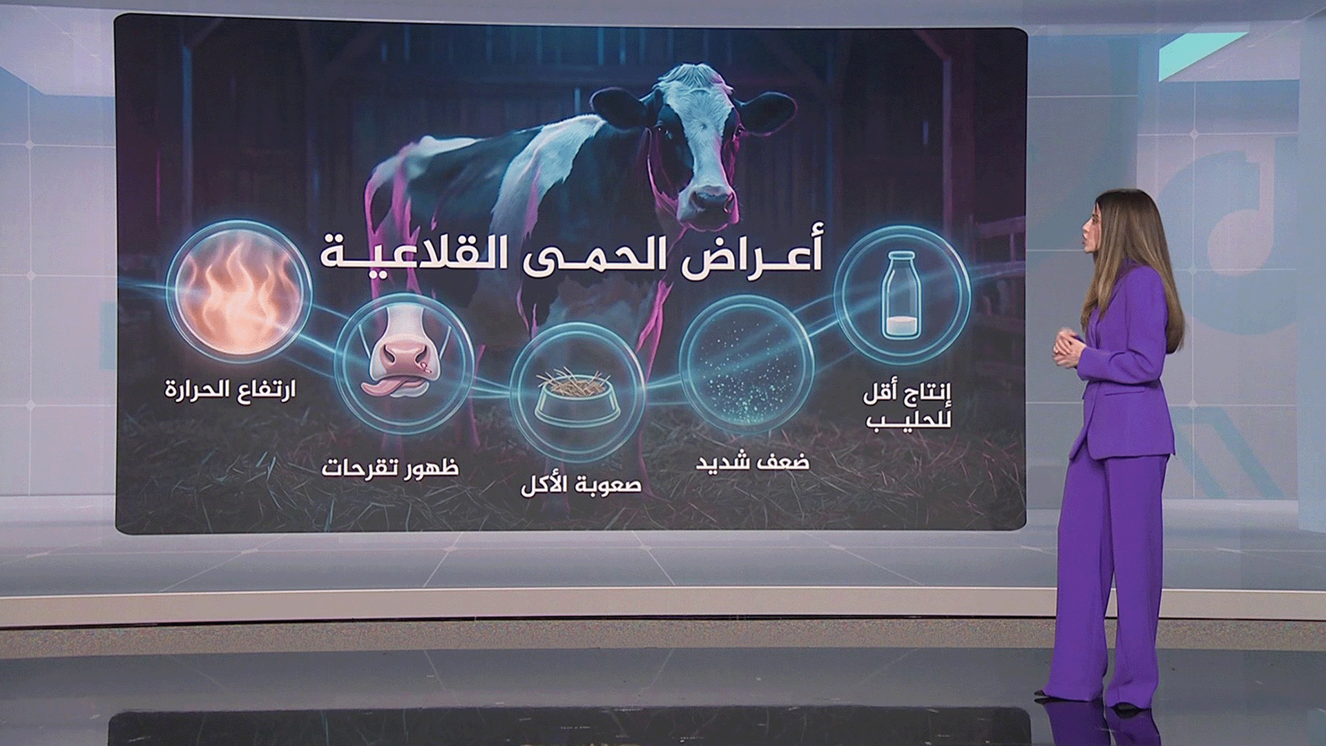 شبكات.. عقبات تمنع وصول مواشي سوريا إلى الخليج