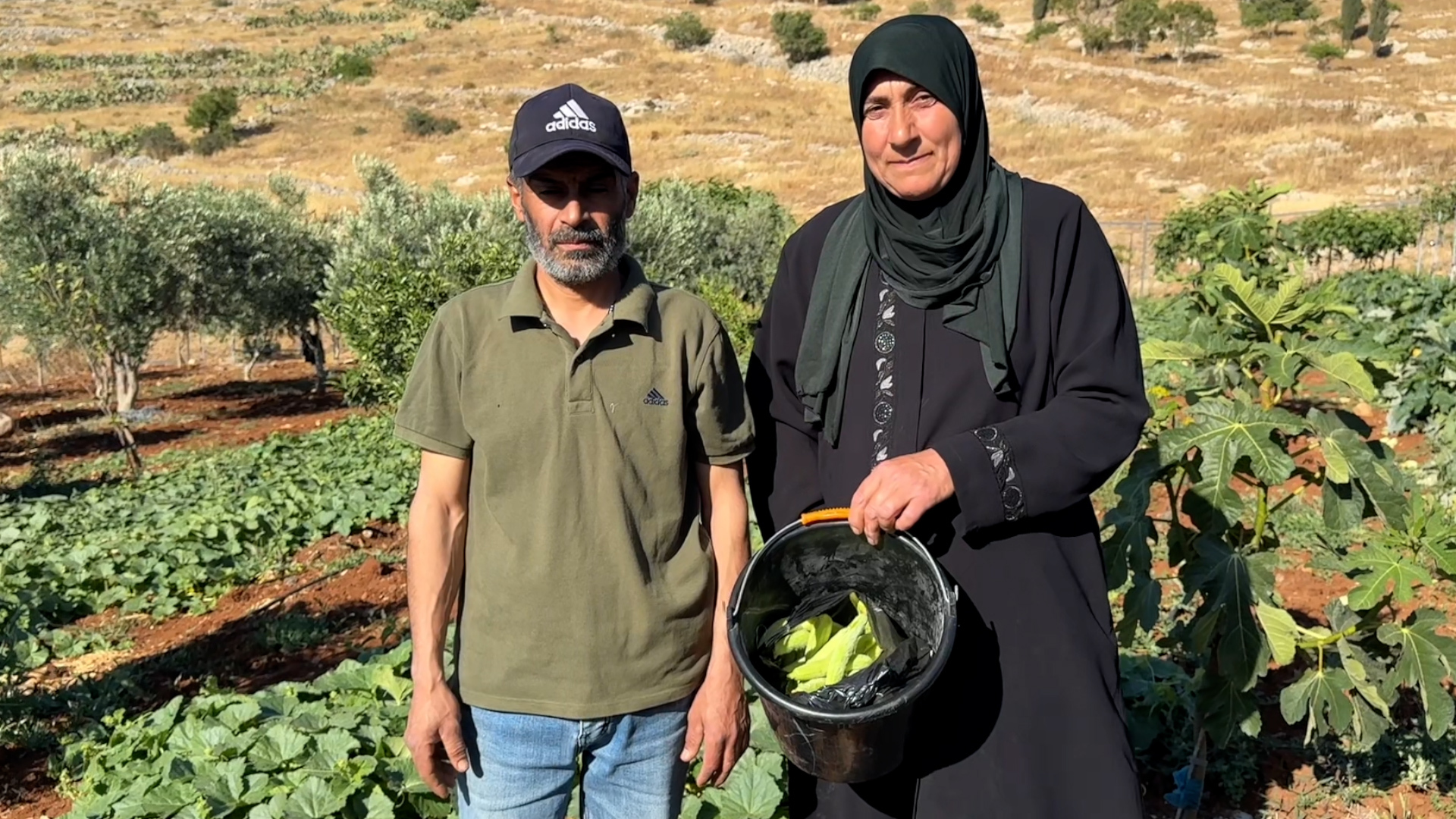 غزو بالصلوات التلمودية والأبقار.. قرية "رابا" الفلسطينية لا تعرف النوم