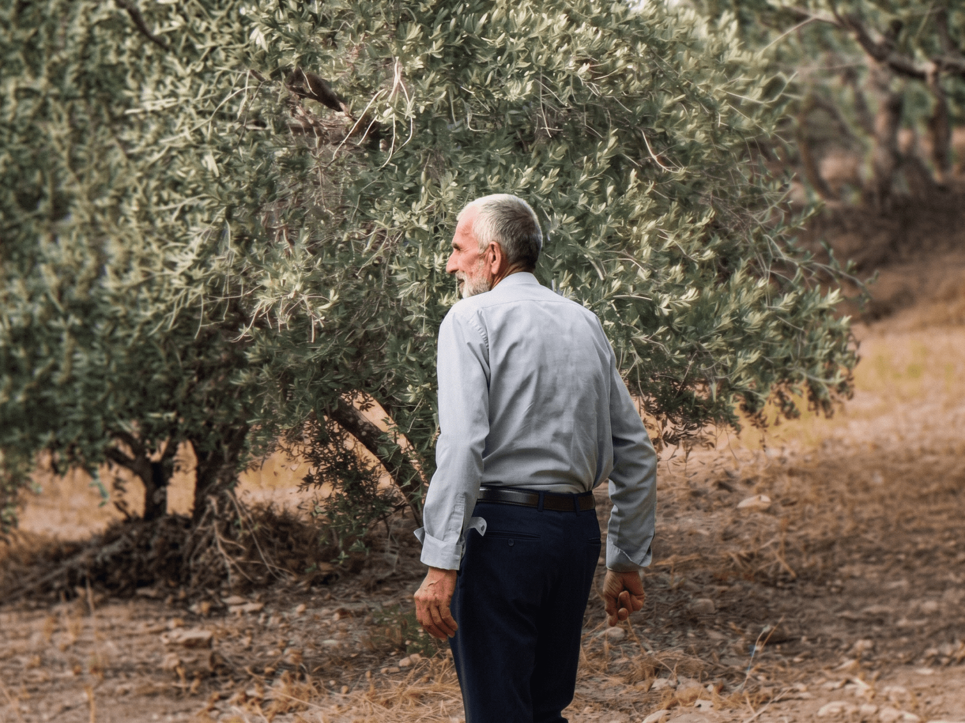 الاحتلال يسرق أراضي الفلسطينيين بنابلس لصالح المستوطنين