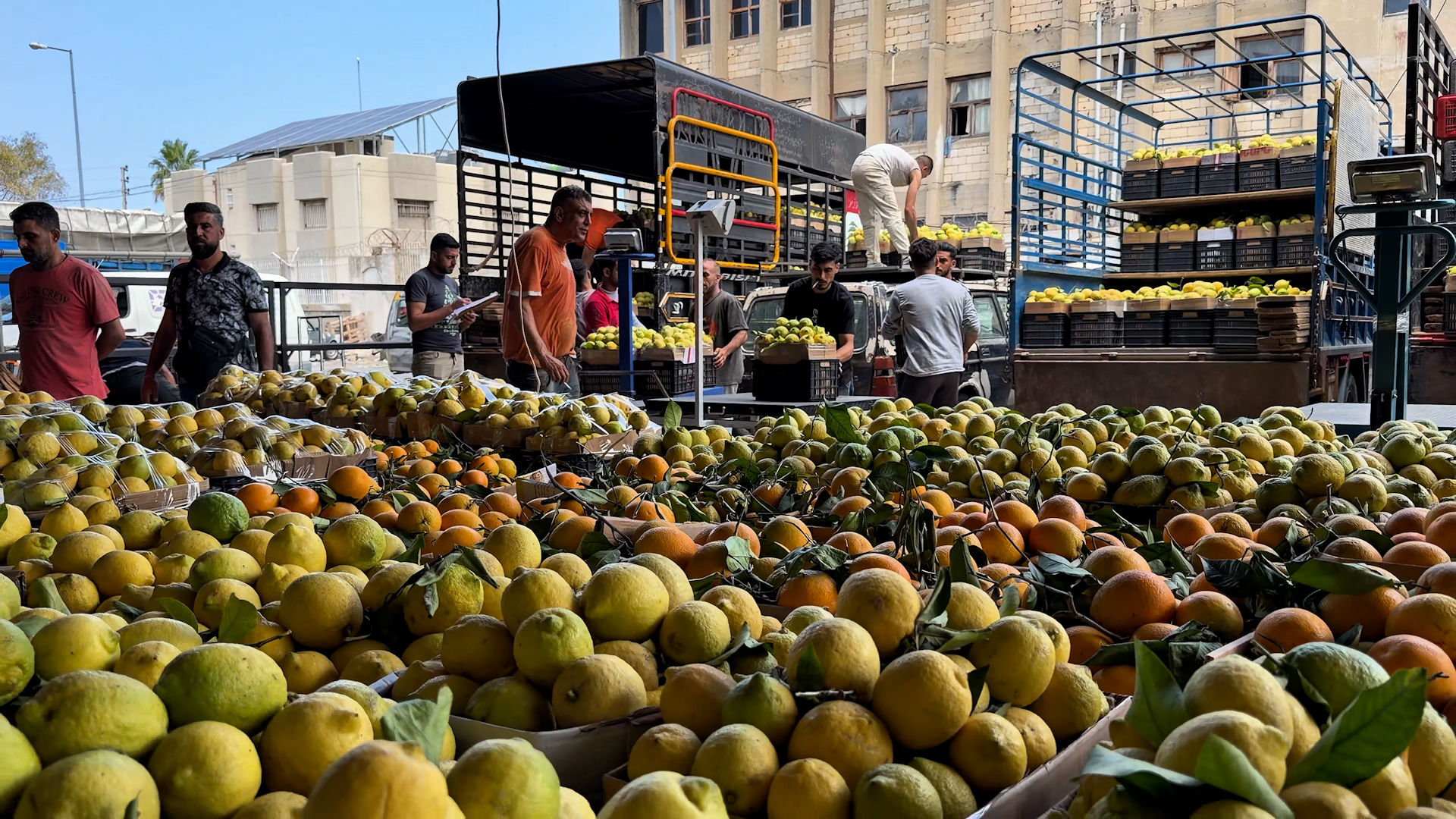 من الحقول إلى الموائد.. حرب الجنوب تخنق زراعة لبنان وأمنه الغذائي
