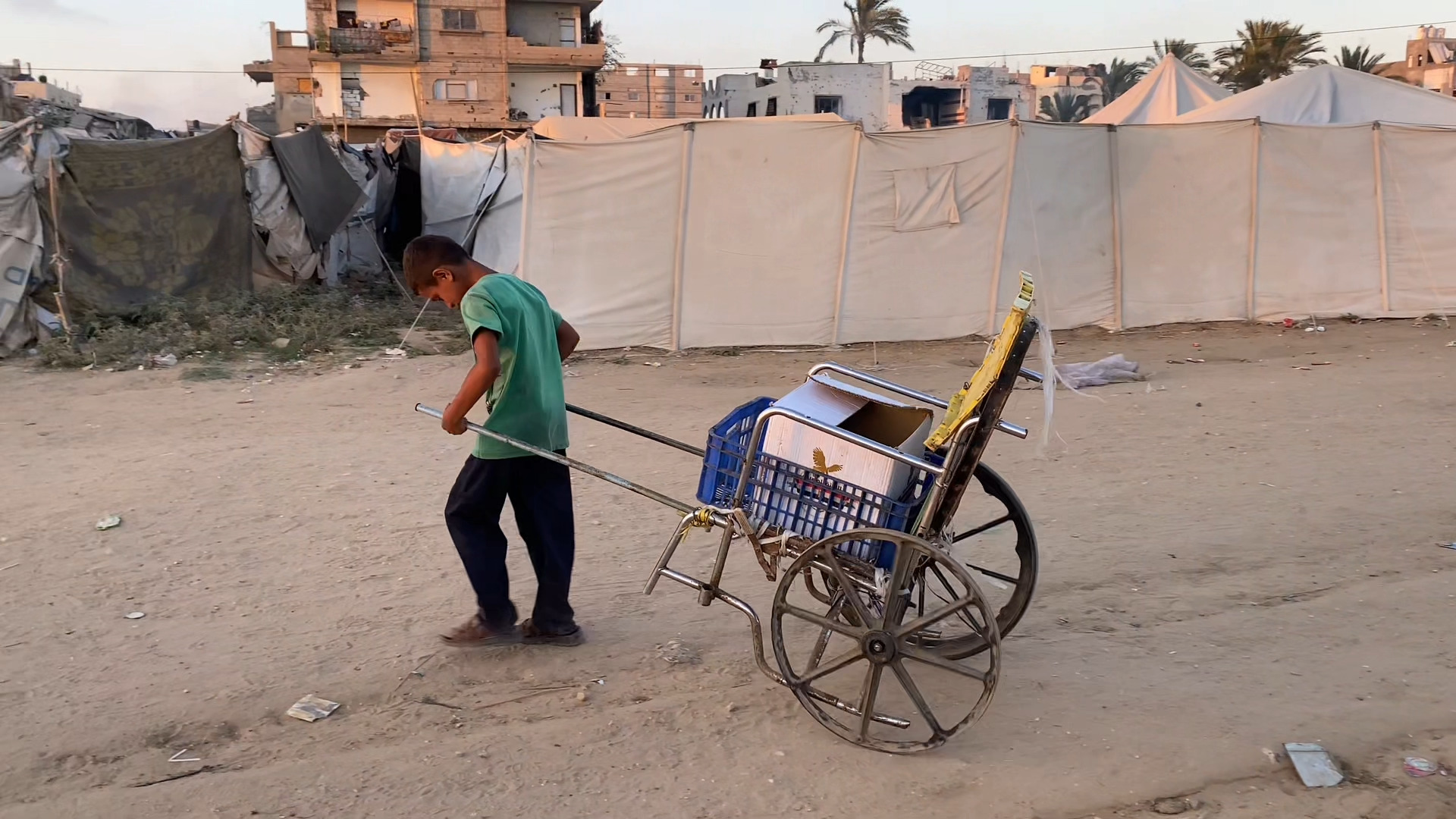شاهد.. هكذا دفعت حرب الإبادة أطفال غزة إلى سوق العمل مبكرا