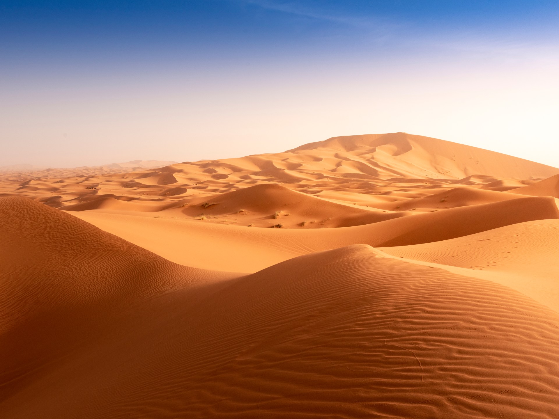 كنز الصحراء الكبرى المائي.. قصة مليون كيلومتر مربع تطعم الجزائر وليبيا وتونس